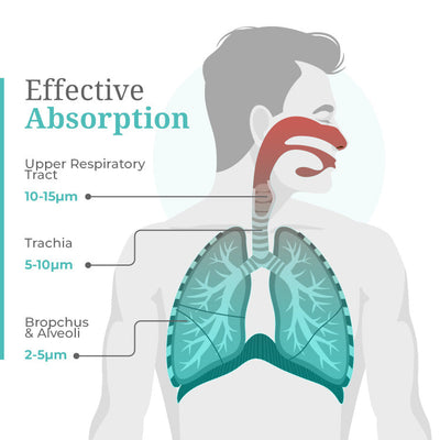 Portable Mesh Nebulizer